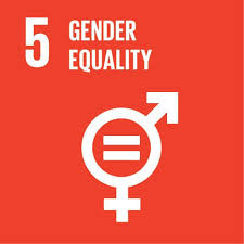 5_gender_euality
